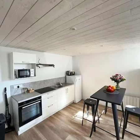 La Mouette, Niche Au Coeur D'arago Apartment *